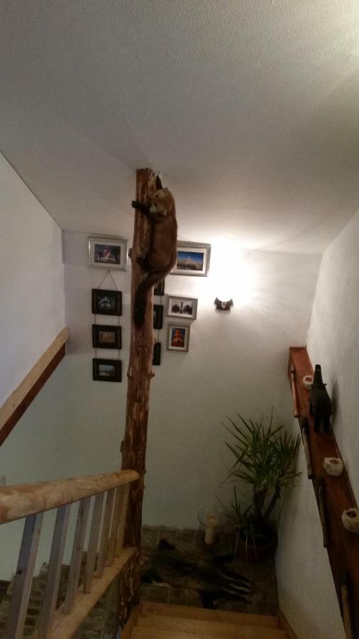 Zum Jaegerstuebchen Bad Honnef Ngoại thất bức ảnh